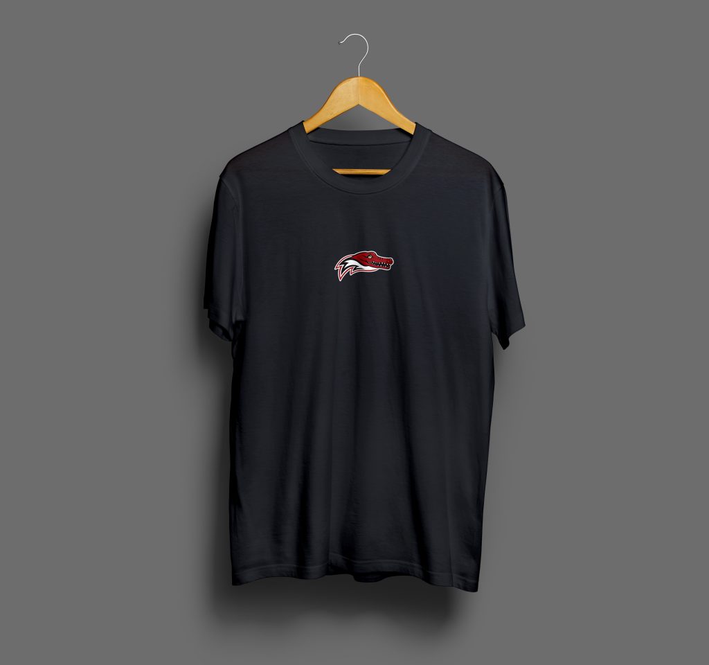 Basic T-Shirt schwarz mit Farbe